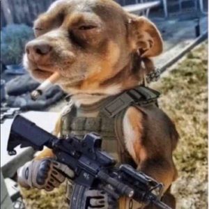 Meet your Posher, Jose